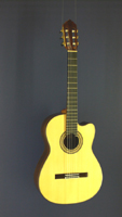 Albert & M&uuml;ller Classical Guitar Fusion, spruce, rosewood, cutaway, scale 65 cm, year 2009
