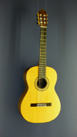 Albert & M&uuml;ller classical guitar cedar, rosewood, 2005