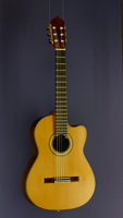 Albert & M&uuml;ller Fusion Classical Guitar cedar, rosewood, cutaway, AER-pickup