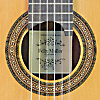 Rosette and label of guitar built by German guitar maker Felix M&uuml;ller, classical guitar with cedar top and back and sides made of rosewood, 65 cm scale, year 2020